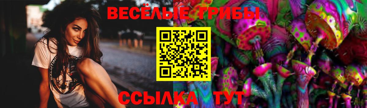Псилоцибиновые грибы Magic Shrooms  Псилоцибиновые грибы GOLDEN TEACHER  Вход с VPN  Серов 
